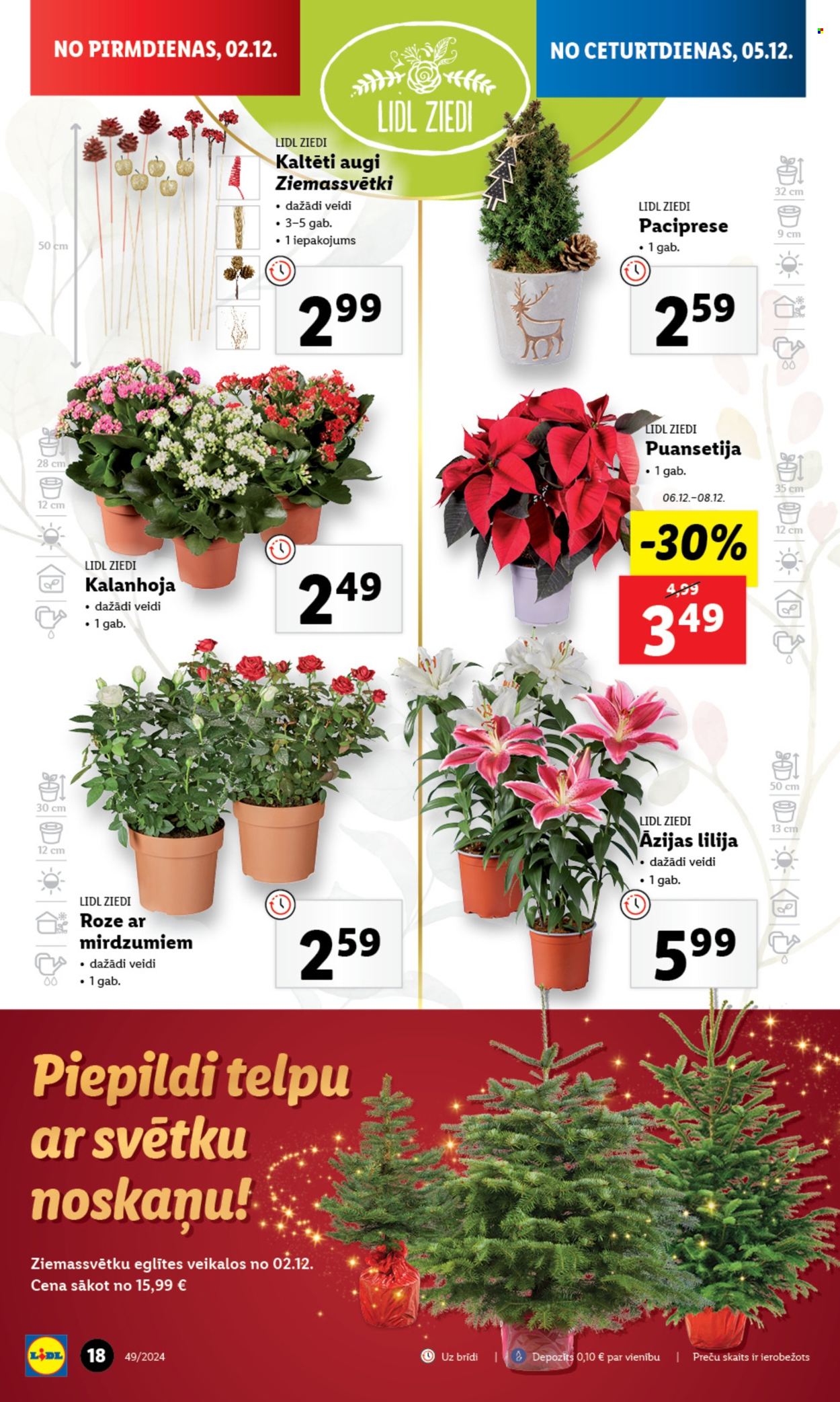 Lidl buklets - 02.12.2024. - 08.12.2024.. Lappuse 1