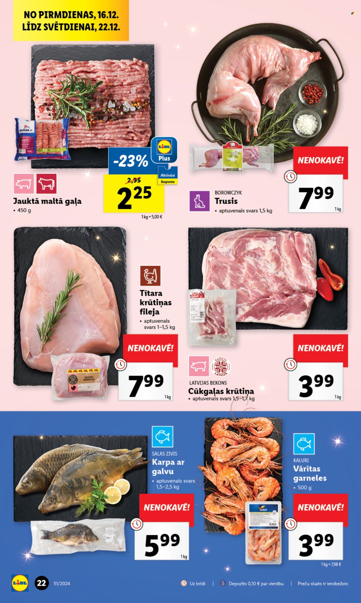 Lidl buklets - 19.12.2024. - 22.12.2024.. Lappuse 1